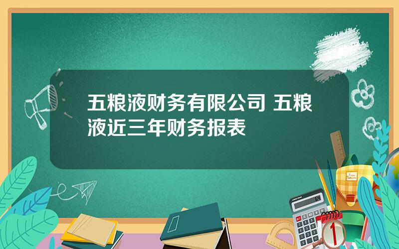 五粮液财务有限公司 五粮液近三年财务报表